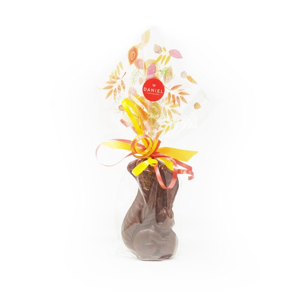 Chocolate Squirrel, 90g