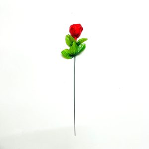 Alternative view of Rose on Stem
