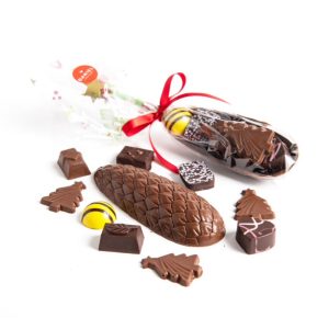 Pinecone Filled, 10 chocolates