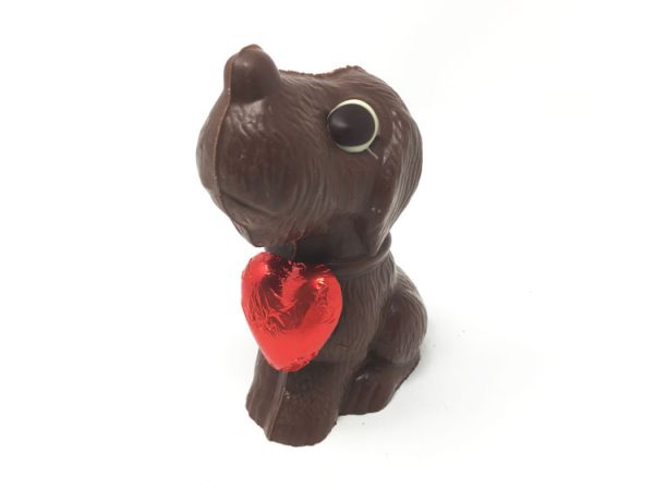 Daniel Chocolates_2023_Valentines_BOOGIE THE DOG