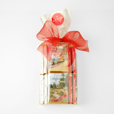 Iconic Vancouver Bag of 24