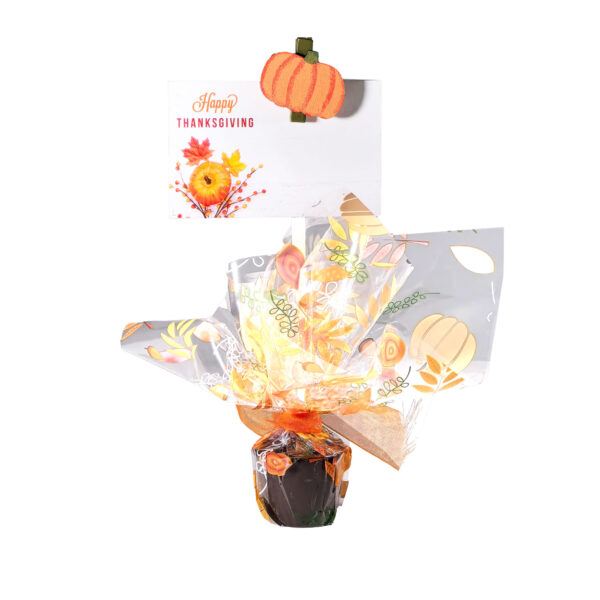 Thanksgiving Festive Chocolate Pop